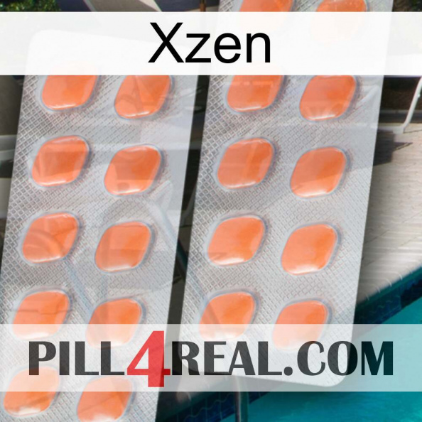 Xzen 27
